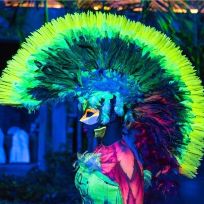 actividades Grand Oasis Cancun