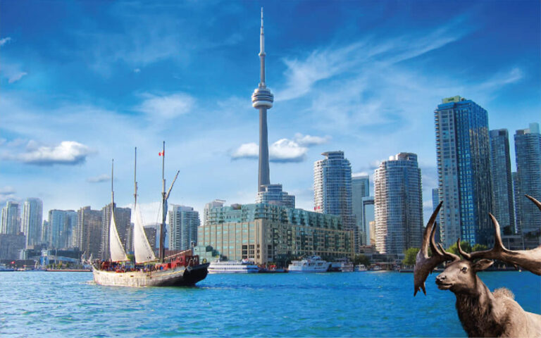 Paquete Canadá: Mega Canadá